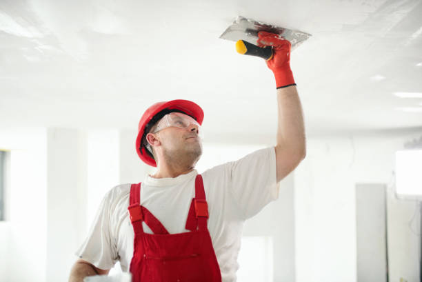 Best Water-Damaged Drywall Repair  in Farmersburg, IN